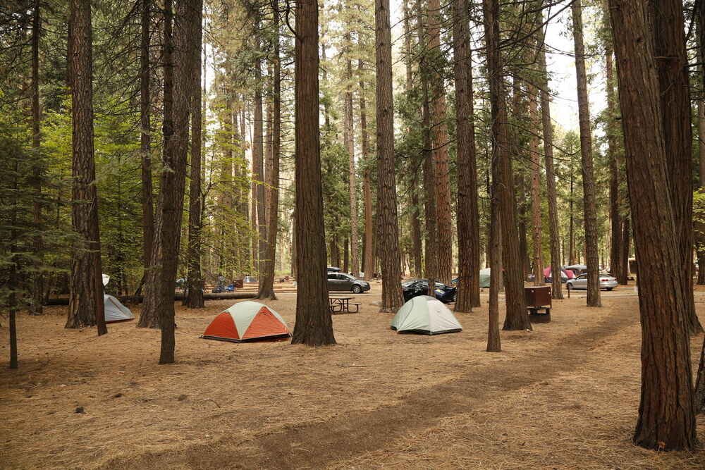 What to Pack for a Five Day Camp Vacation at Yosemite